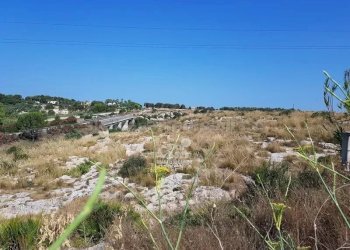 Capannone Marsala - foto 8