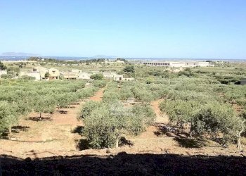 Terreno edificabile Marsala - foto 4