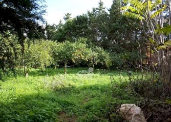 Villa Marsala - foto 5