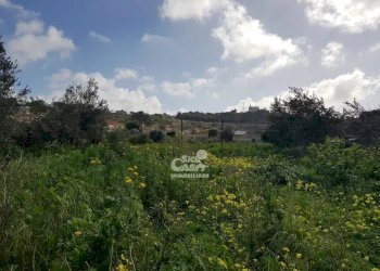 Terreno edificabile Marsala - foto 3