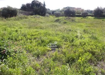 Terreno edificabile Marsala - foto 8