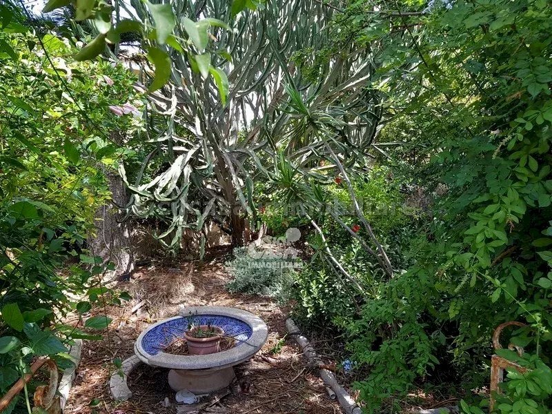 Independent house Marsala - photo 2