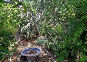 Independent house Marsala - photo 2