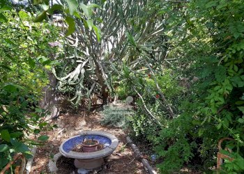 Independent house Marsala - photo 32