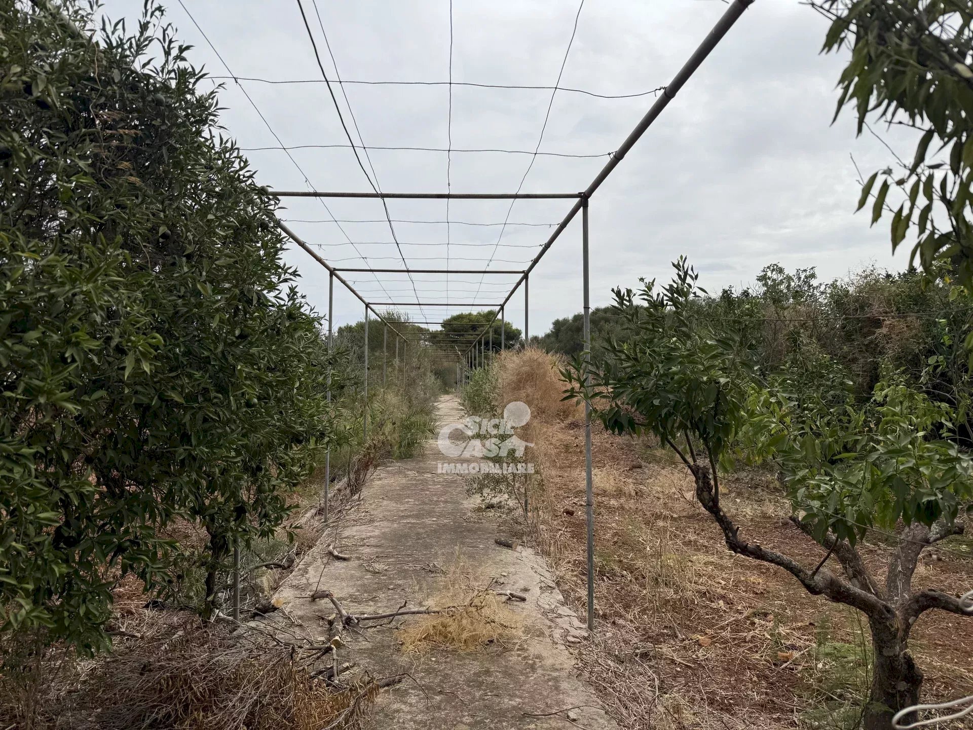 Independent house Contrada Bosco, Marsala - photo 2