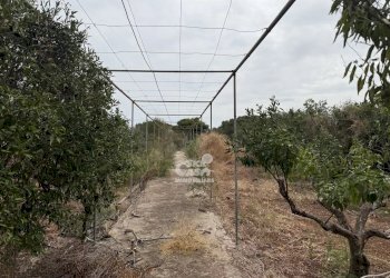 Independent house Contrada Bosco, Marsala - photo 2