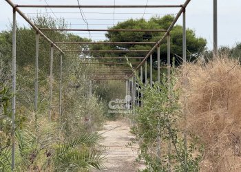 Independent house Contrada Bosco, Marsala - photo 12