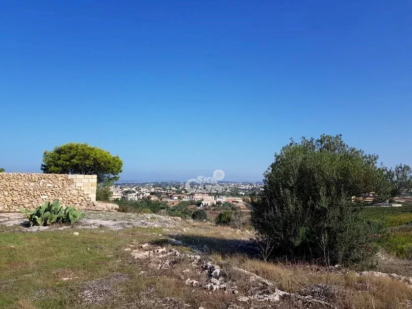 Building land Marsala - photo 2