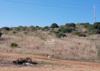 Terreno edificabile Marsala - foto 7
