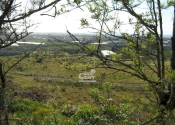 Terreno edificabile Marsala - foto 4