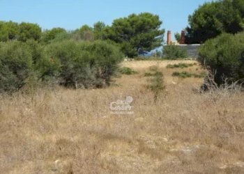 Villa Marsala - foto 7