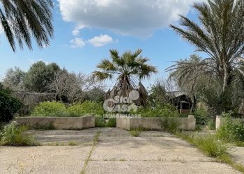 Villa Marsala - photo 34