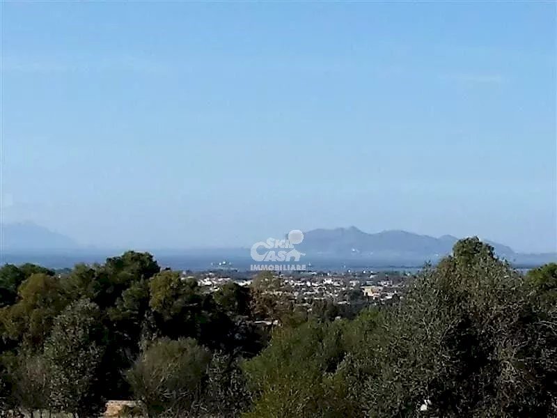 Building land Marsala - photo 2