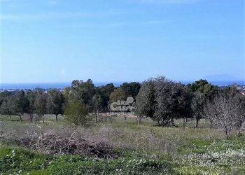 Terreno edificabile Marsala - foto 3