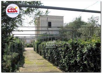 Villa Marsala - foto 4