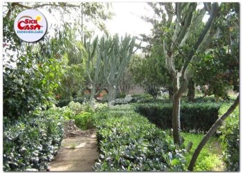 Villa Marsala - foto 5