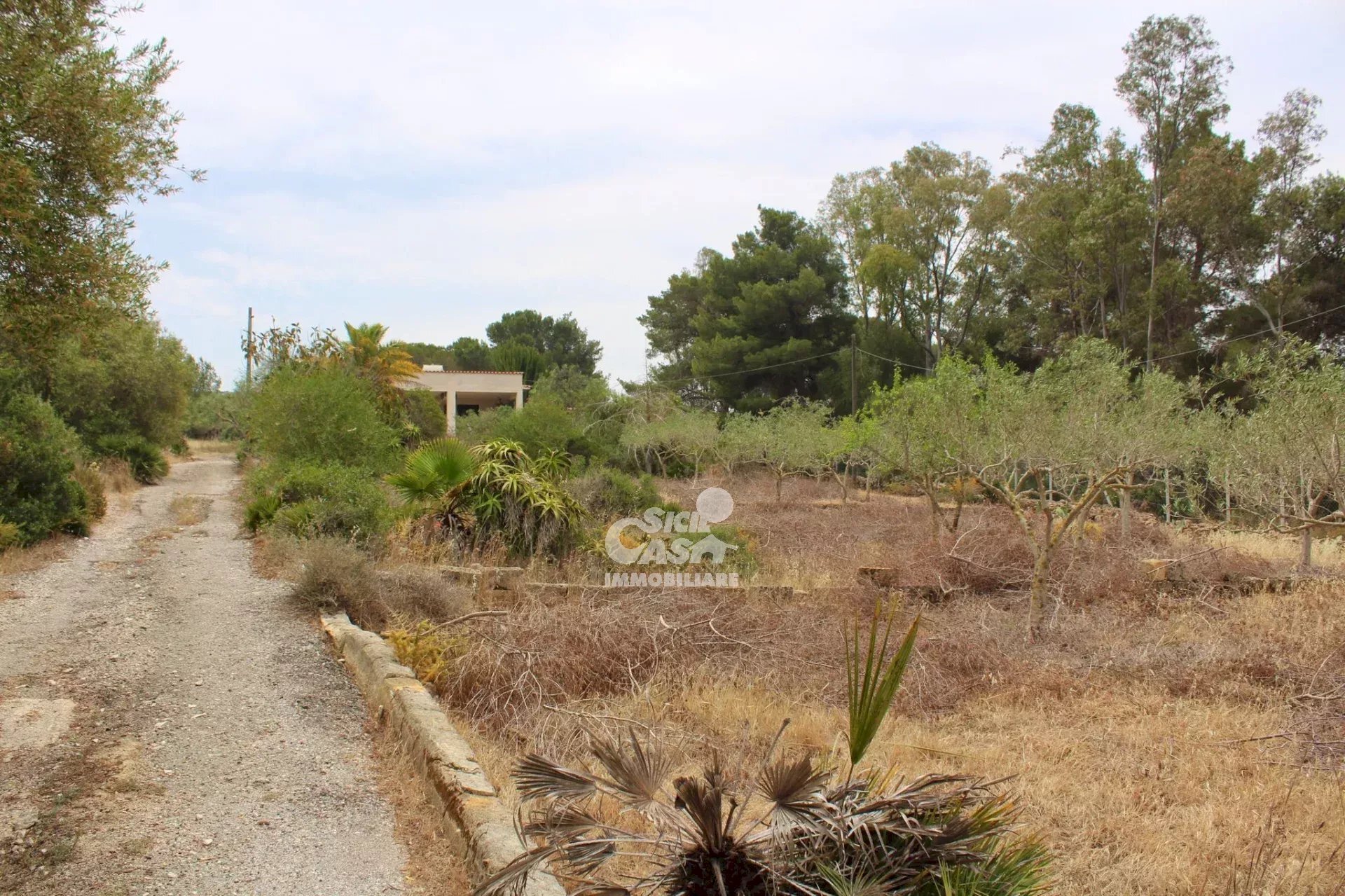 Villa Marsala - foto 2