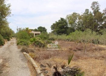 Villa Marsala - foto 2