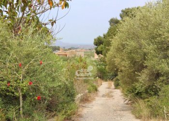 Villa Marsala - foto 3