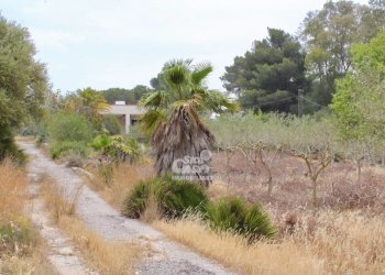 Villa Marsala - foto 4