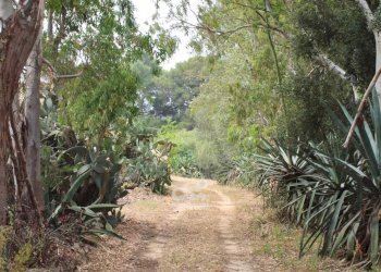 Villa Marsala - foto 5