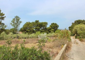 Villa Marsala - foto 6