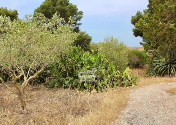 Villa Marsala - foto 8