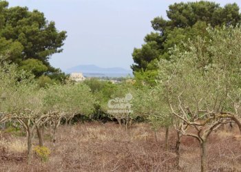 Villa Marsala - foto 10