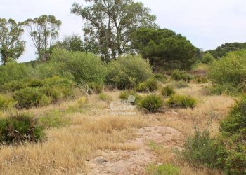 Villa Marsala - foto 13