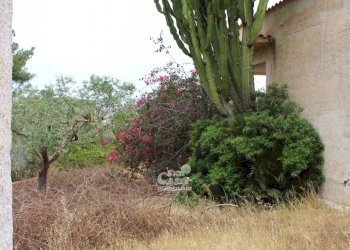 Villa Marsala - foto 14