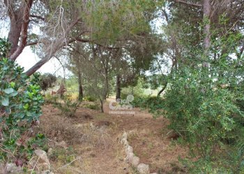 Villa Marsala - foto 15