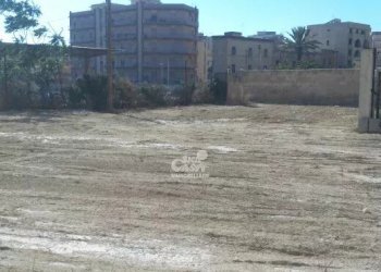 Capannone Marsala - foto 7