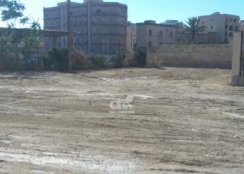 Capannone Marsala - foto 21