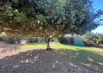 Villa Marsala - foto 18