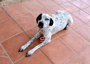 Villa Marsala - foto 55