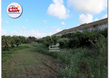 Appartamento Marsala - foto 3