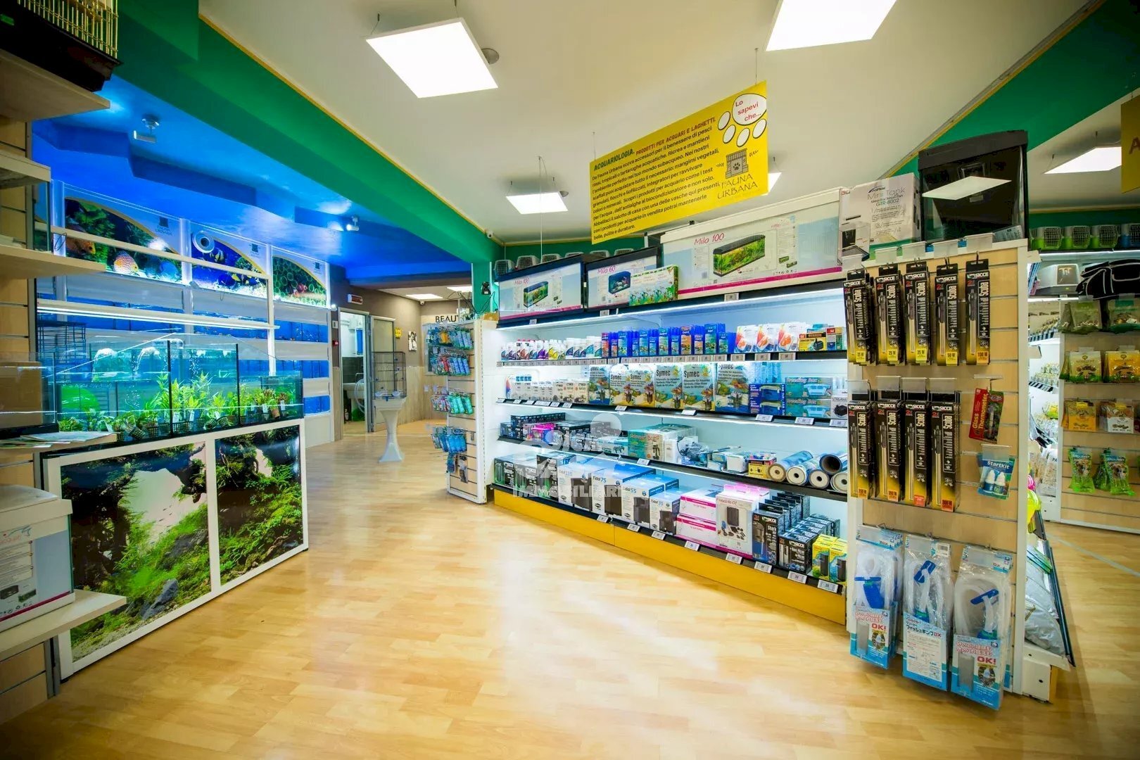 Locale Commerciale Marsala - foto 3