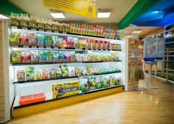 Locale Commerciale Marsala - foto 2