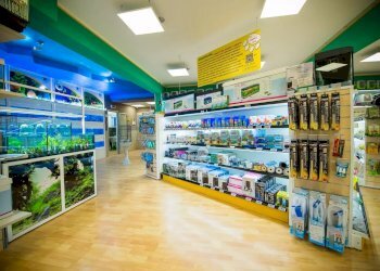 Locale Commerciale Marsala - foto 3