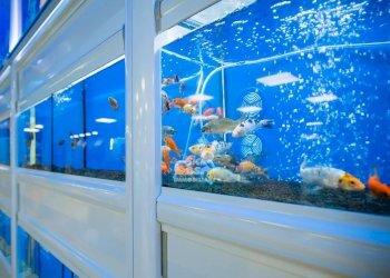 Locale Commerciale Marsala - foto 4