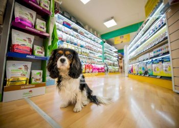 Locale Commerciale Marsala - foto 11