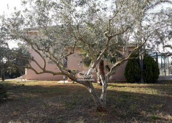 Villa Contrada Colombaio Lasagna - via Gorizia, Marsala - foto 20