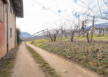 Porzione di casa Via Ripoira, 40, Barge - foto 7