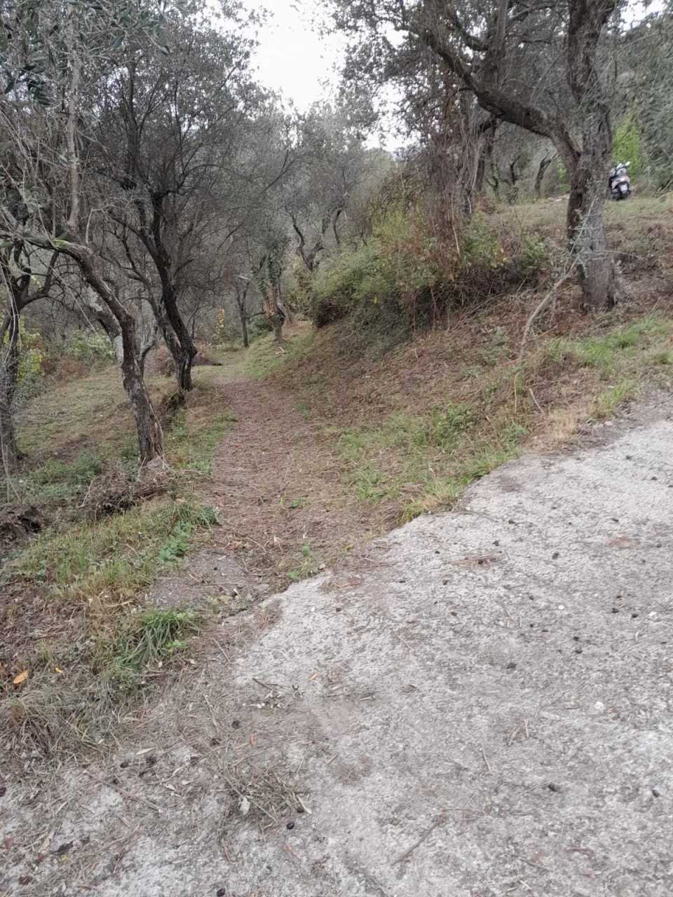 3.jpg - Terreno agricolo Arcola - foto 3