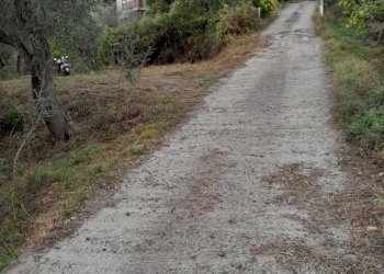 6.jpg - Terreno agricolo Arcola - foto 6