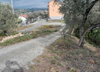 7.jpg - Terreno agricolo Arcola - foto 7