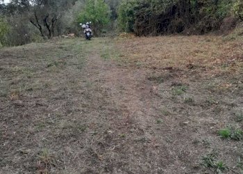 8.jpg - Terreno agricolo Arcola - foto 8