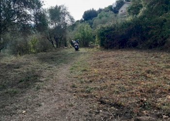 9.jpg - Terreno agricolo Arcola - foto 9