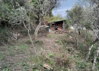 10.jpg - Terreno agricolo Arcola - foto 10