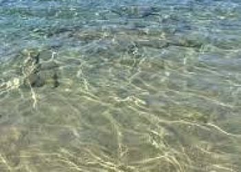 15.jpeg - Albergo - Struttura ricettiva Centola - foto 13